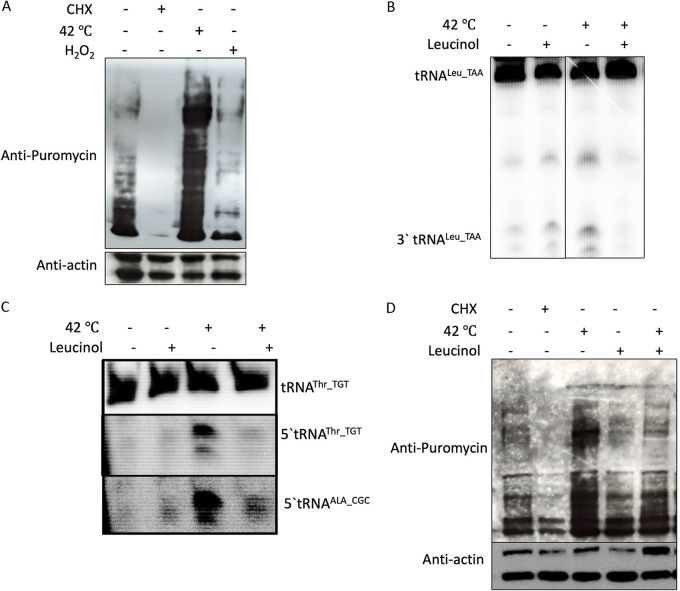 FIG 6