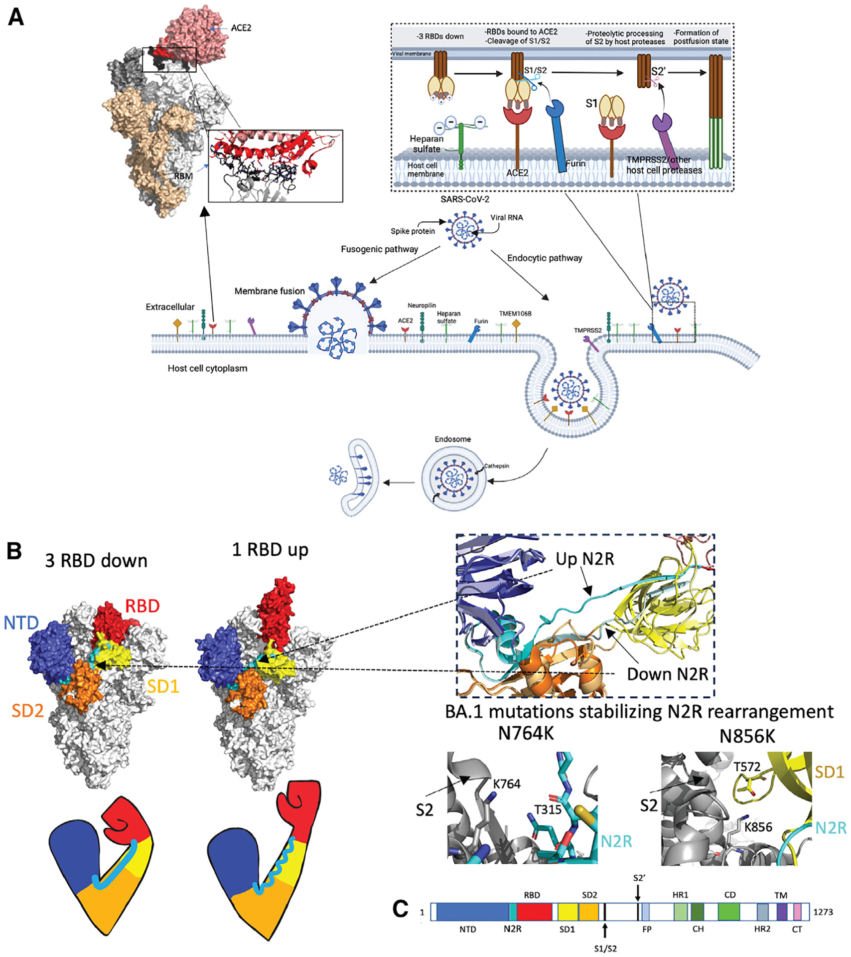 Figure 2.