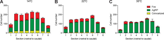 Figure 3—figure supplement 2.