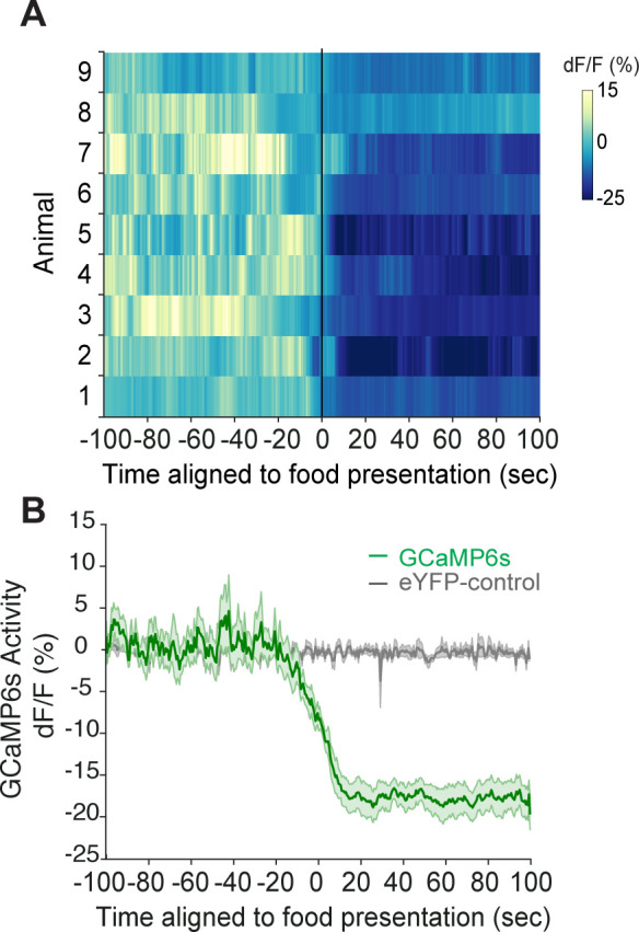 Figure 4—figure supplement 1.