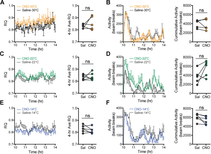 Figure 5—figure supplement 3.