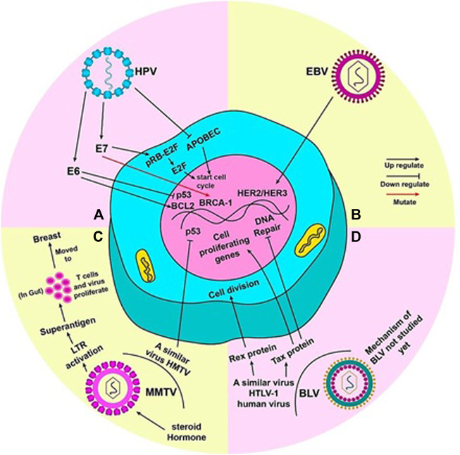 FIGURE 2