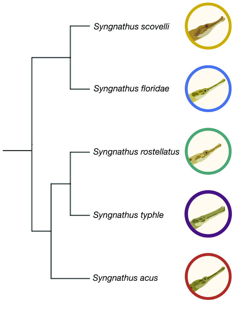 Figure 2.