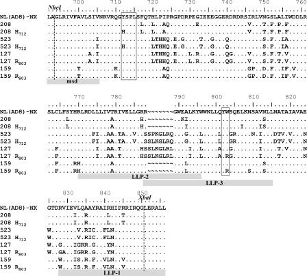 FIG. 1.