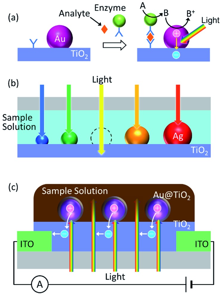 Fig. 10