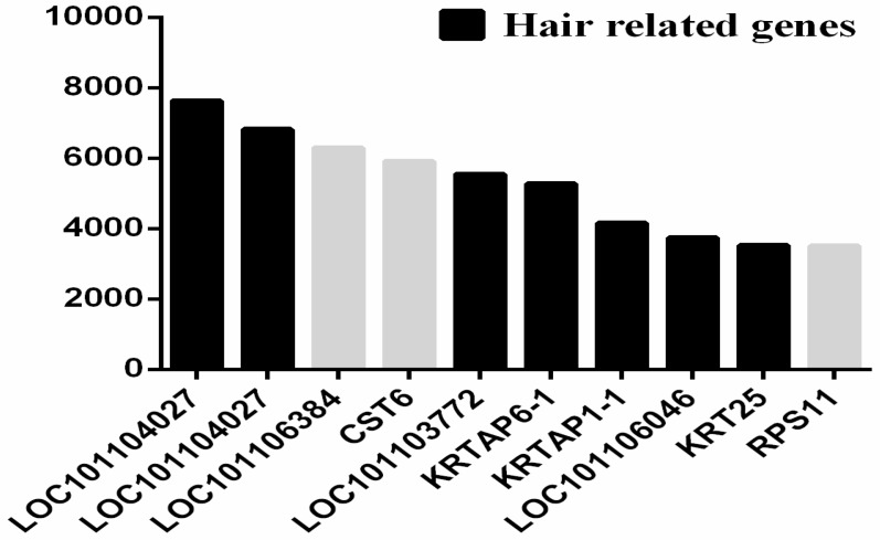 Figure 7