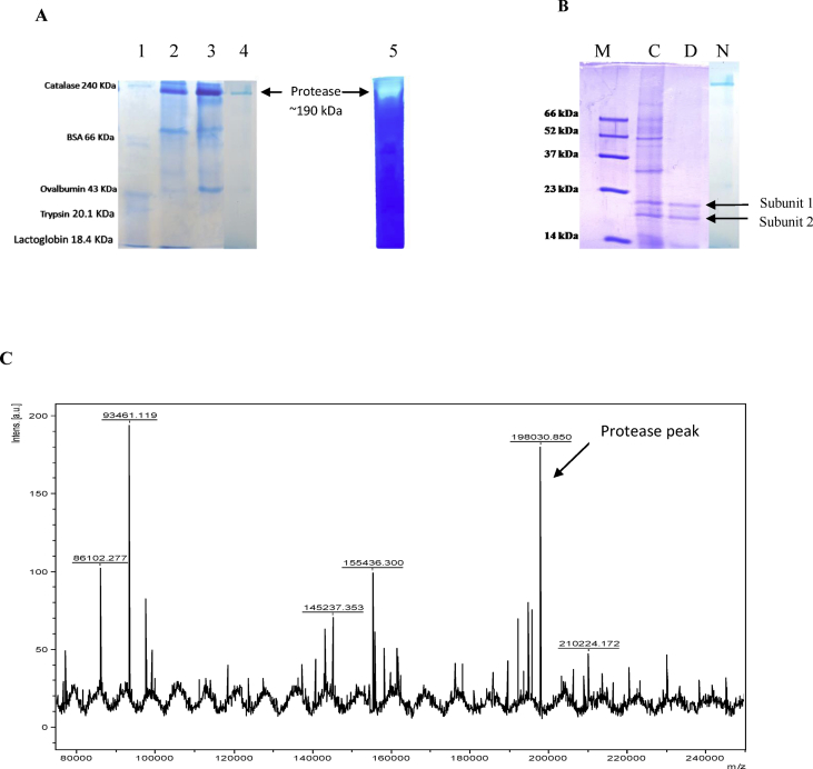 Fig. 3