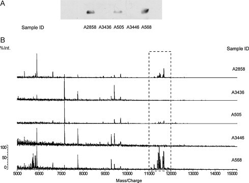 Fig. 5