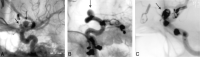 F<sc>ig</sc> 3.