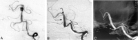 F<sc>ig</sc> 1.