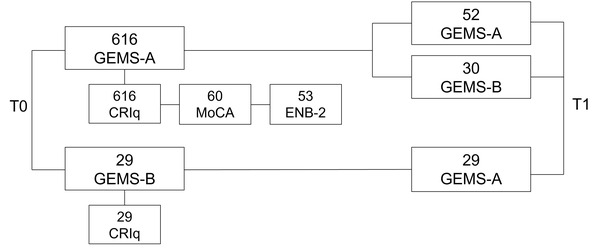 FIGURE 1