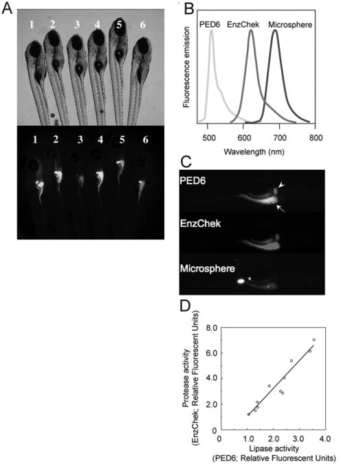 Fig. 11