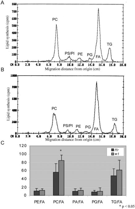 Fig. 10