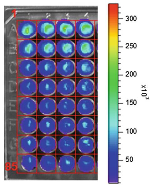 Fig. 2