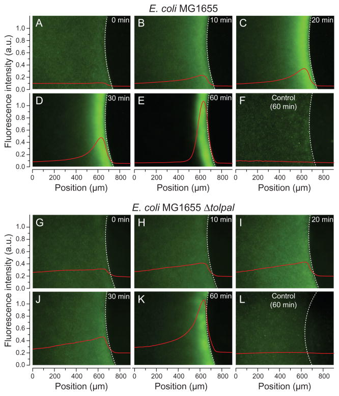 Fig. 4