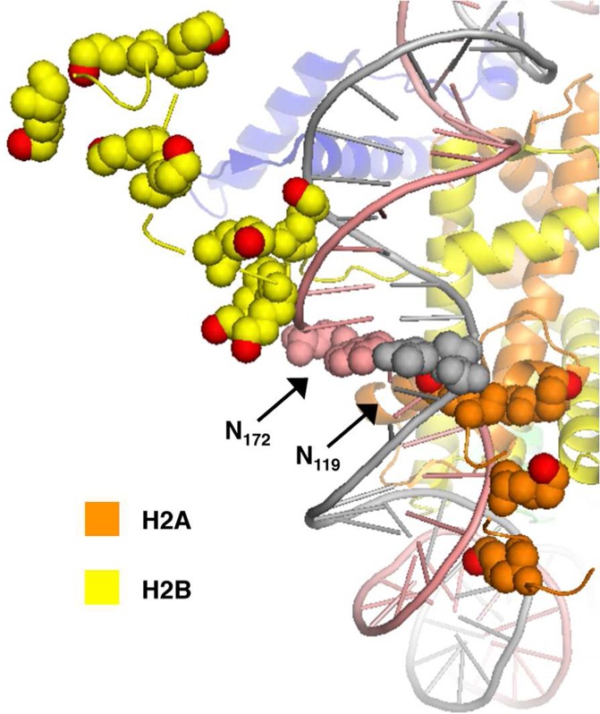 Figure 6