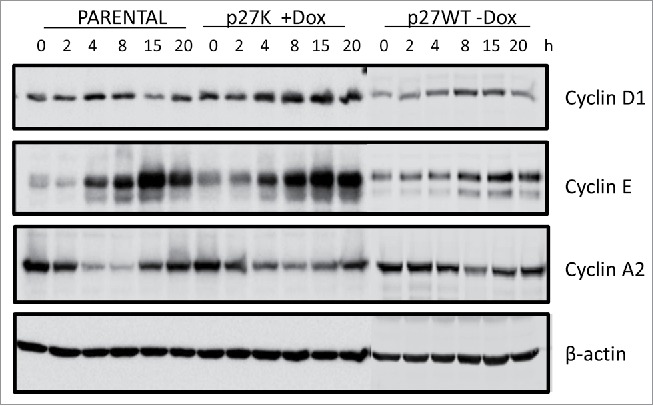 Figure 4.