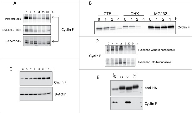 Figure 6.