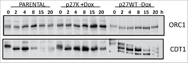 Figure 9.