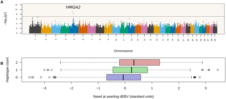 FIGURE 1