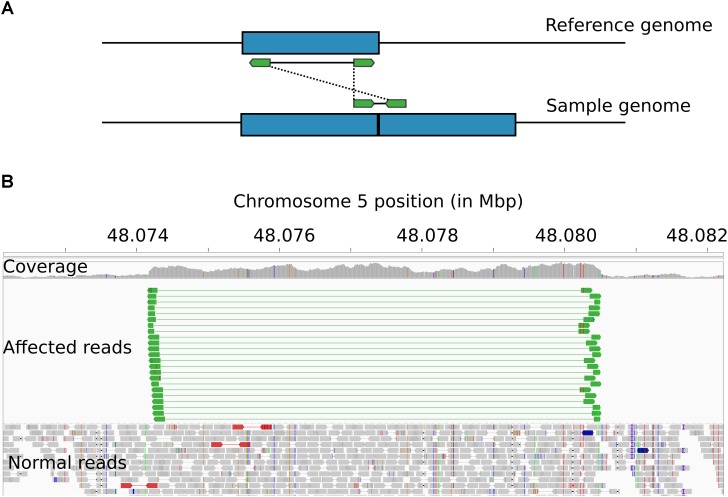 FIGURE 3