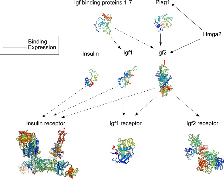 FIGURE 6