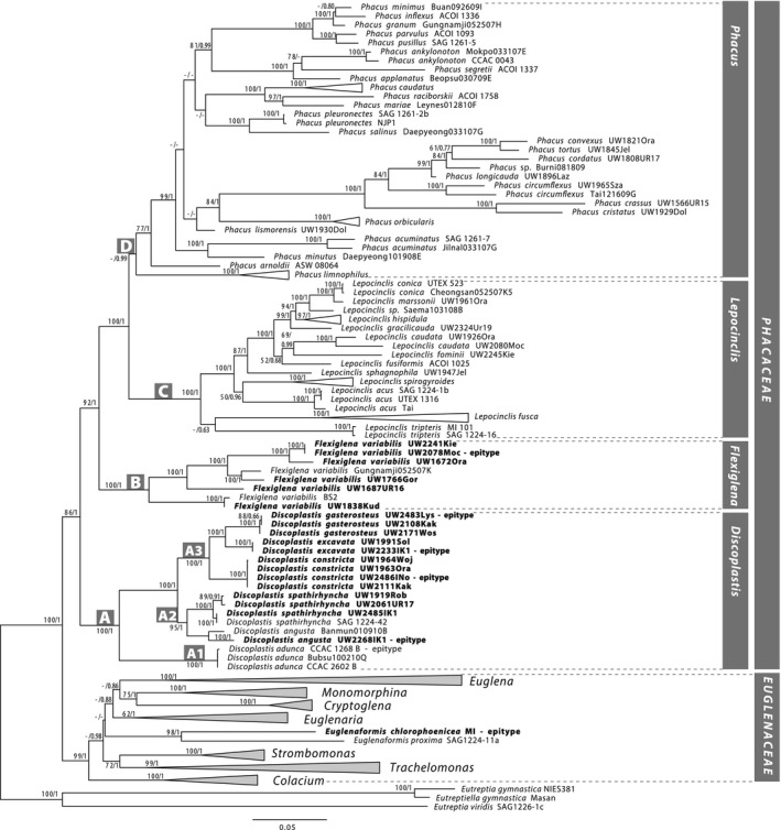 Fig. 2