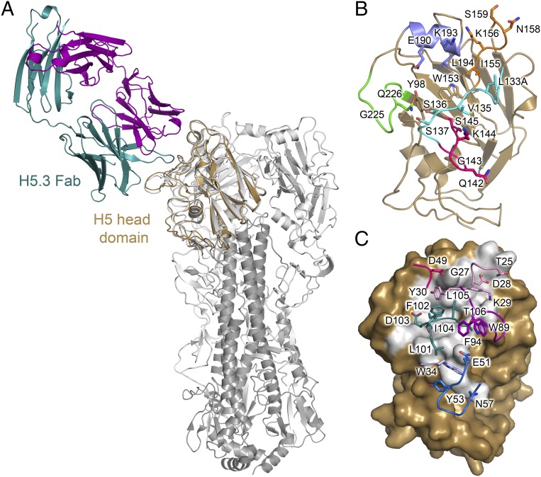 Fig. 1.