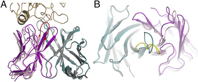 Fig. 5.