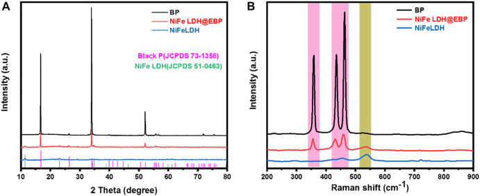 FIGURE 3