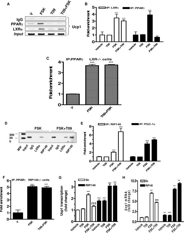 FIG. 7.