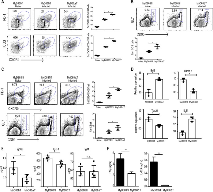 FIG 4