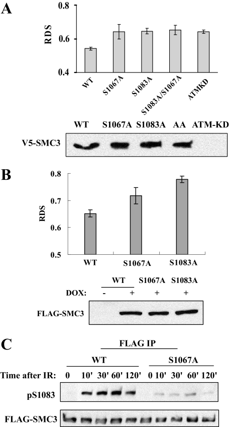 FIGURE 4.