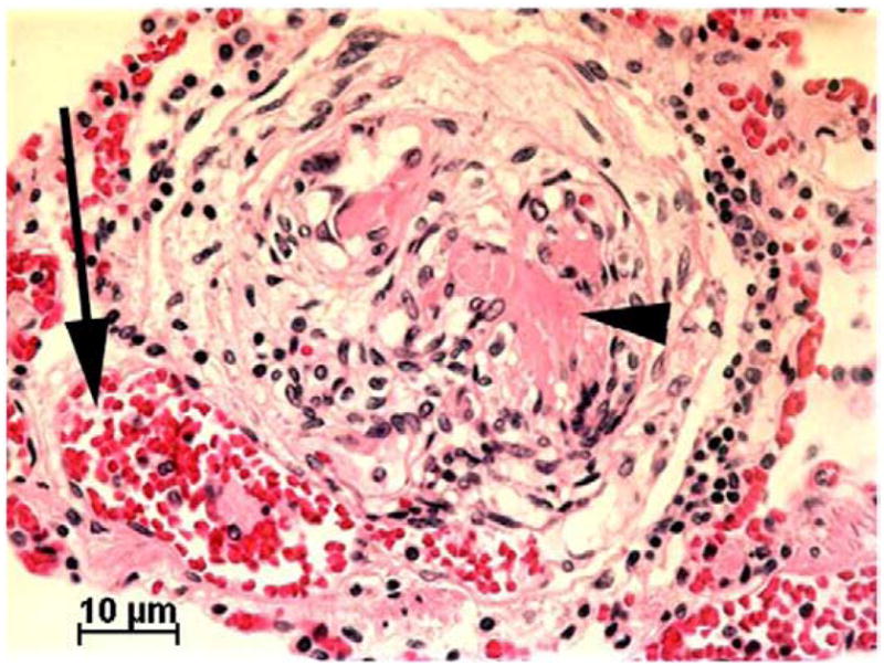 Fig. 8