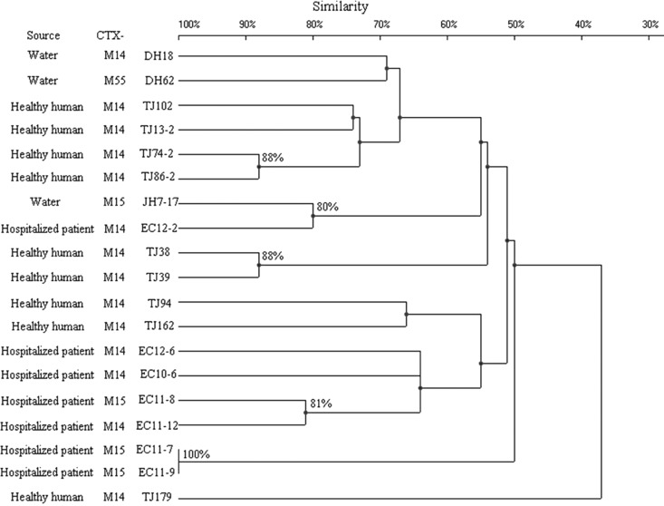 Fig 5