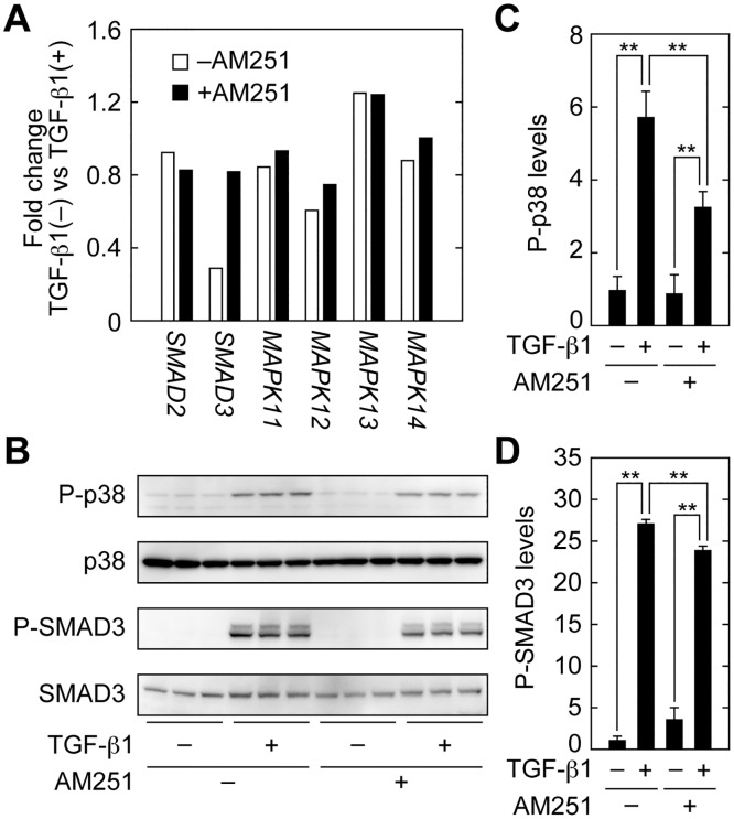 Fig 10