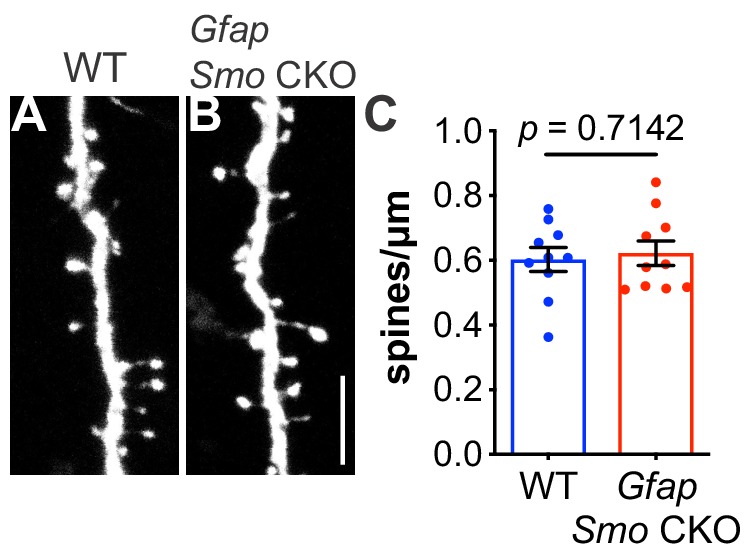 Figure 2—figure supplement 3.