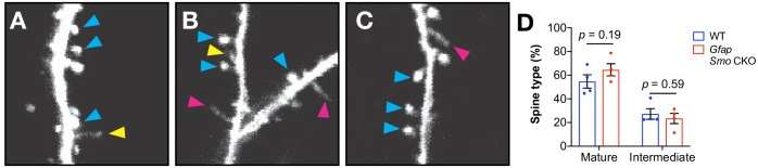 Figure 3—figure supplement 1.