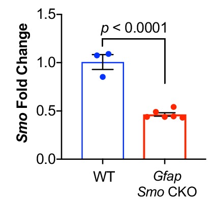 Figure 2—figure supplement 2.