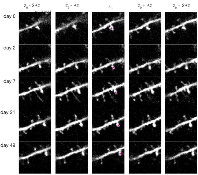 Figure 3—figure supplement 2.