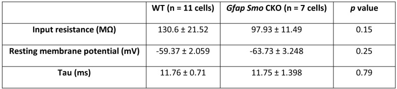 Figure 5—figure supplement 1.