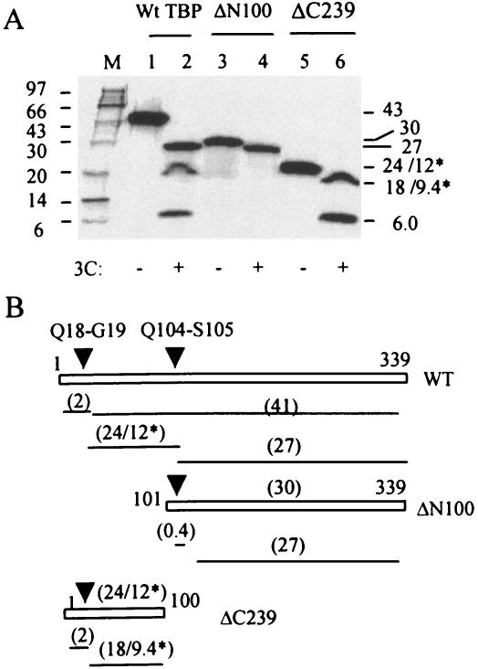 FIG. 5.