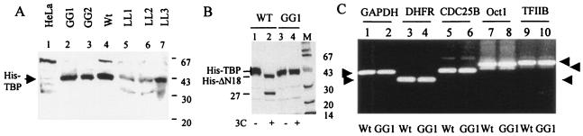 FIG. 9.