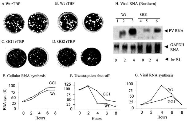 FIG. 10.