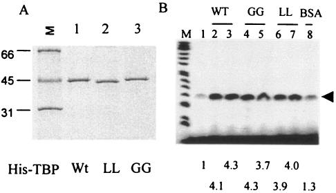 FIG. 8.