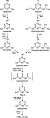 Fig 1