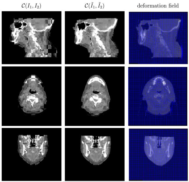 Fig. 10