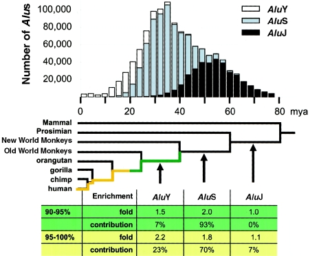 Figure  5