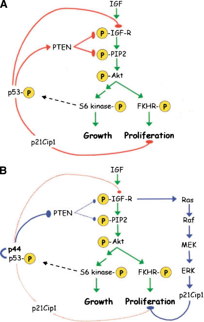 Figure 9.