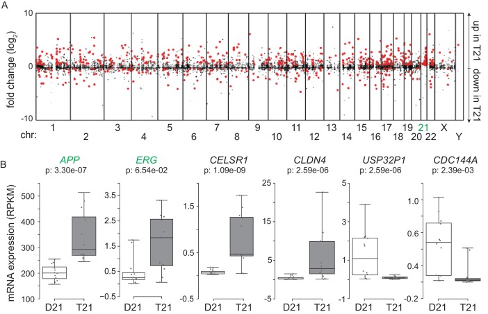 Figure 1—figure supplement 2.